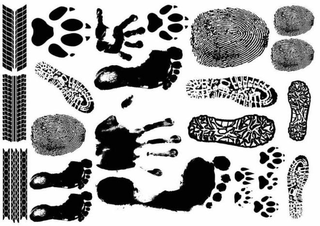 Tattoo designs footprints, paw, and fingerprints.