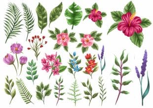 Temporary tattoos with leaves and branches.