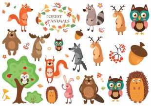 Forest Animals, fine illustrated animals as temporary tattoos.
