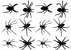 Spindeltatueringar, spindel, spindlar, svarta spindlar faketatueringar