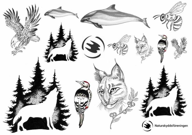 Naturskyddsföreningen tattoos with motifs of wolf, porpoise, and lynx.