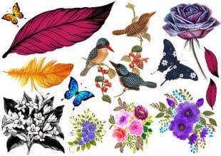 Färgglatt collage av illustrerade fåglar, fjärilar, fjädrar, en stor lila ros, ljusa blad och olika livfulla blomsterarrangemang på en vit bakgrund.