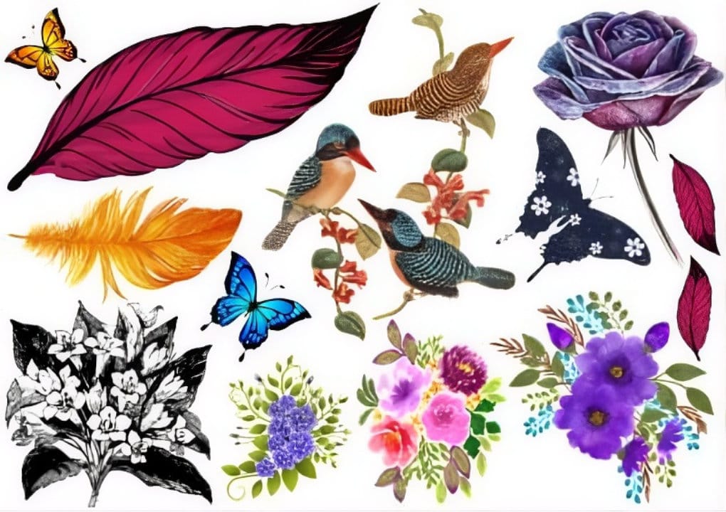 Färgglatt collage av illustrerade fåglar, fjärilar, fjädrar, en stor lila ros, ljusa blad och olika livfulla blomsterarrangemang på en vit bakgrund.